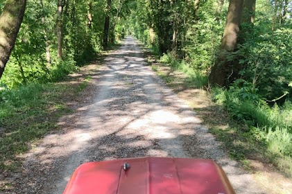 Sommerfest_2023_Klein